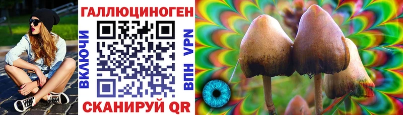 Псилоцибиновые грибы Cubensis  где купить наркоту  маркетплейс какой сайт  Похвистнево 
